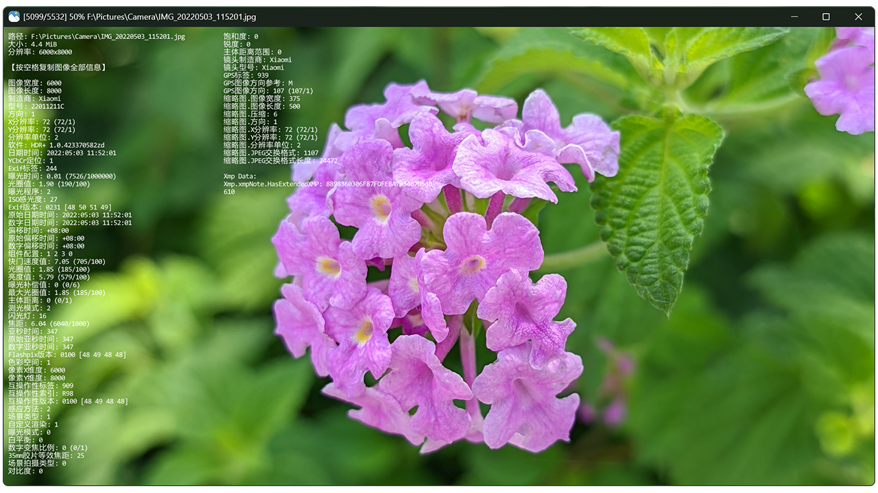 预览